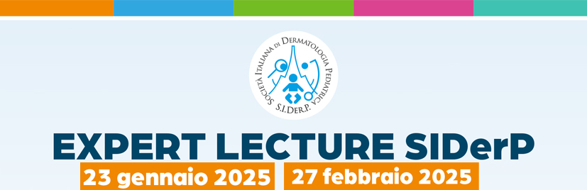 Expert Lecture SIDerP 23012025 1
